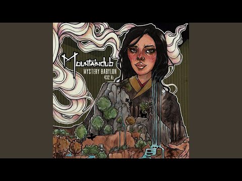 Mr Leader (feat. Ras Chidy)