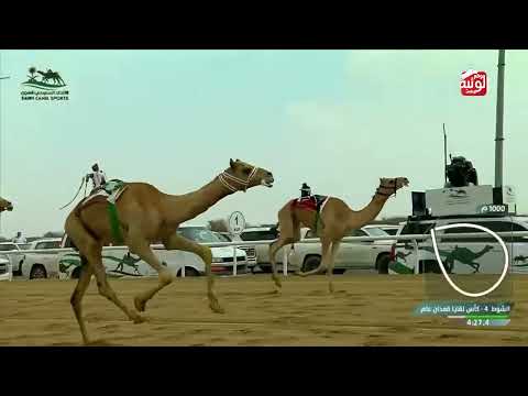   ش 4 (شاهين) لـ راشد محمد بن مروشد 6:02:92 , كأس الاتحاد السعودي 2026/10/02 لقايا الطايف