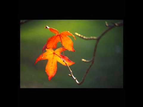 Gologan - Autumn