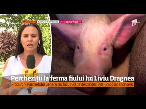 , title : 'Ferma de porci din comuna Salcia a fiului lui Liviu Dragnea a fost luată cu asalt de către mascaţi'