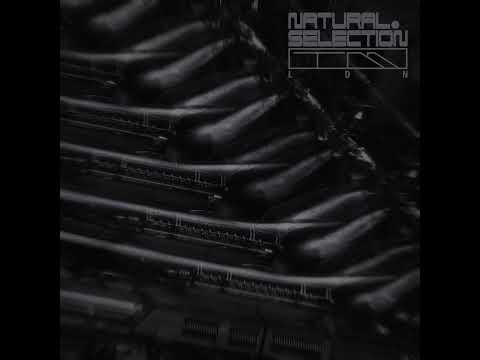 PREMIERE: Swarm Intelligence - Inflate [NS008]