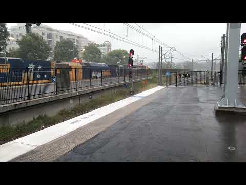 11/02/22 5MB4 passing Epping