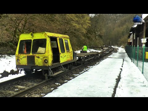 Trenuri în Defileul Crișului Repede 🚂🚆 Trains in Crișul Repede`s Canyon - 08 February 2022