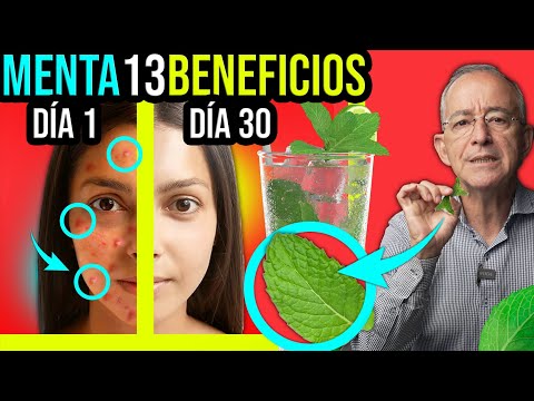 ATENCION LA MENTA MEJORA LA CIRCULACION Y MAS BENEFICIOS SALUDABLES - Oswaldo Restrepo RSC