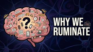 Why Your Brain Replays Embarrassing Moments at Night