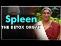 Know how to take care of your spleen | Dr. Hansaji Yogendra