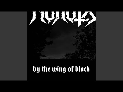 By the Wing of Black