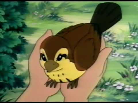 Roodkapje     Nederlands gesproken