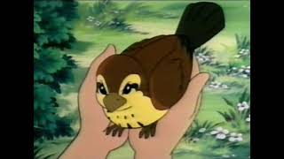 Roodkapje     Nederlands gesproken