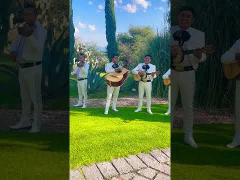 Live Mariachi Band playing music at a wedding in Mexico #travelvlog #mexico #livemusic #travel