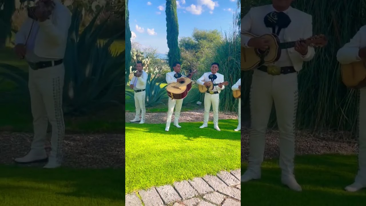 Live Mariachi Band playing music at a wedding in Mexico #travelvlog #mexico #livemusic #travel
