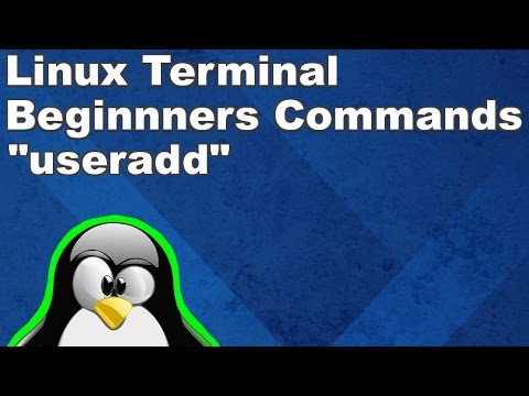 Linux Terminal for Beginners Commands 14: Adding a new user with useradd