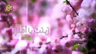 زينب يا أملي