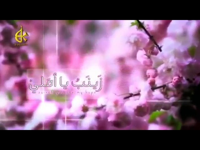 زينب يا أملي