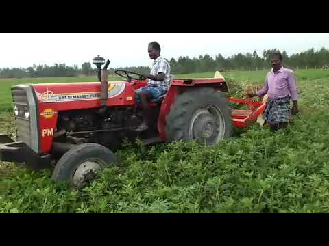 Groundnut digger