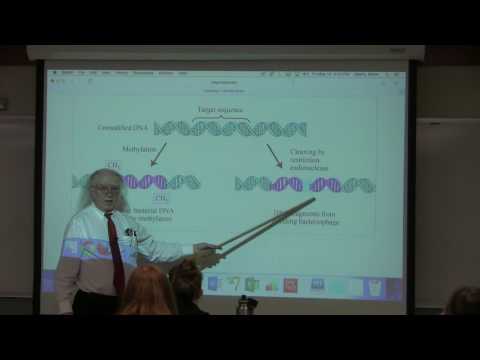 22. Ahern's BB 350 at Oregon State University - BioTechniques