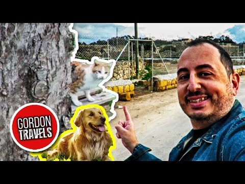 🐕‍ Animal Lovers Will Love This - Santa Lucia, Malta