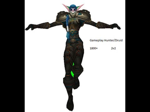 2v2 arena MOP 5.3 wow Bm hunter / Rdruid 1800+