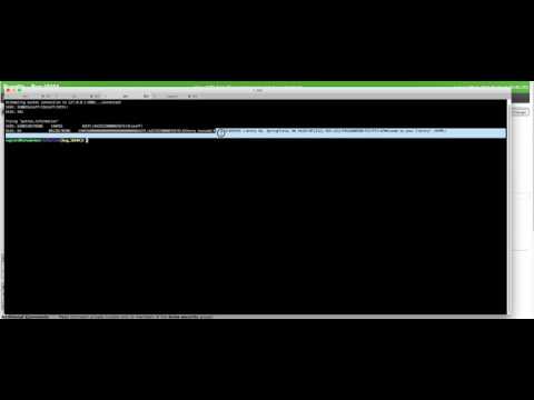 Koha - Bug 18104 - allow SIP2 field AE (personal name ) to be customized