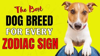 The BEST Dog Breed For You According To Your Zodiac Sign! (And Why?)