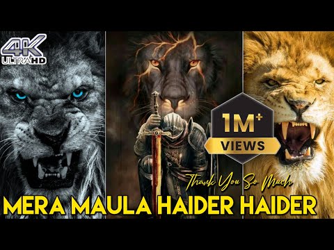 Mera Maula Haider Haider Status | Tik Tok Viral Video Status | New Manqabat Status 2022