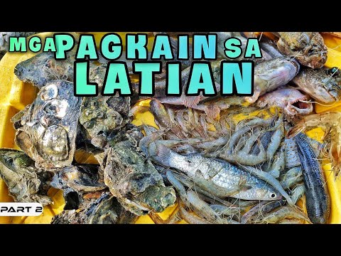 EP894-P2 - Mga Pagkain sa Latian