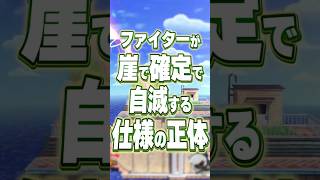 【スマブラSP】ファイターが崖で確定で自滅する仕様の正体【大乱闘スマッシュブラザーズ】