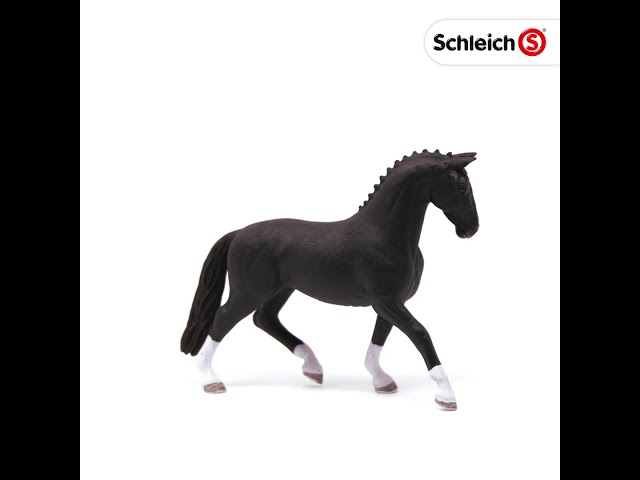 Video Teaser für 13927 Hanoverian mare, black 360 Video