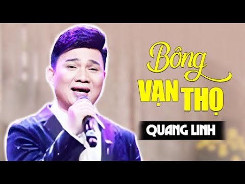 Bông vạn thọ - Quang Linh