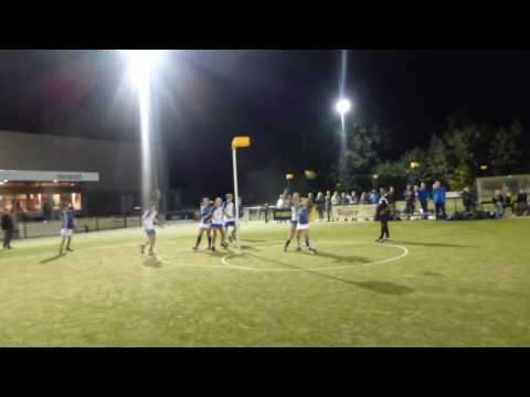 meervogels jesper netniet