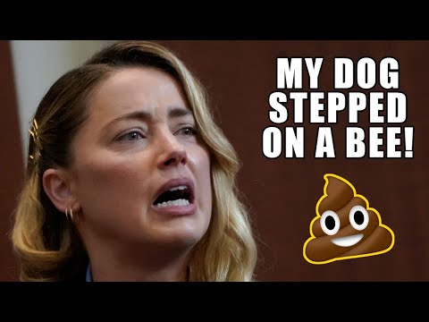 Amber Heard "My Dog Stepped on a Bee!" - Ultimate Compilation thumnail