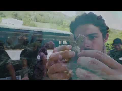 THE CHILDREN OF CORAL TRAILER VOSTENG