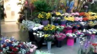 Isle of Flowers - Kings Cross St Pancras - London
