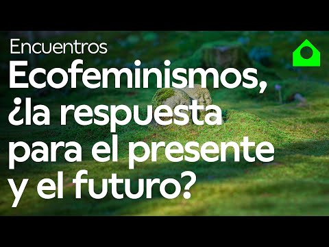 Ver el vídeo