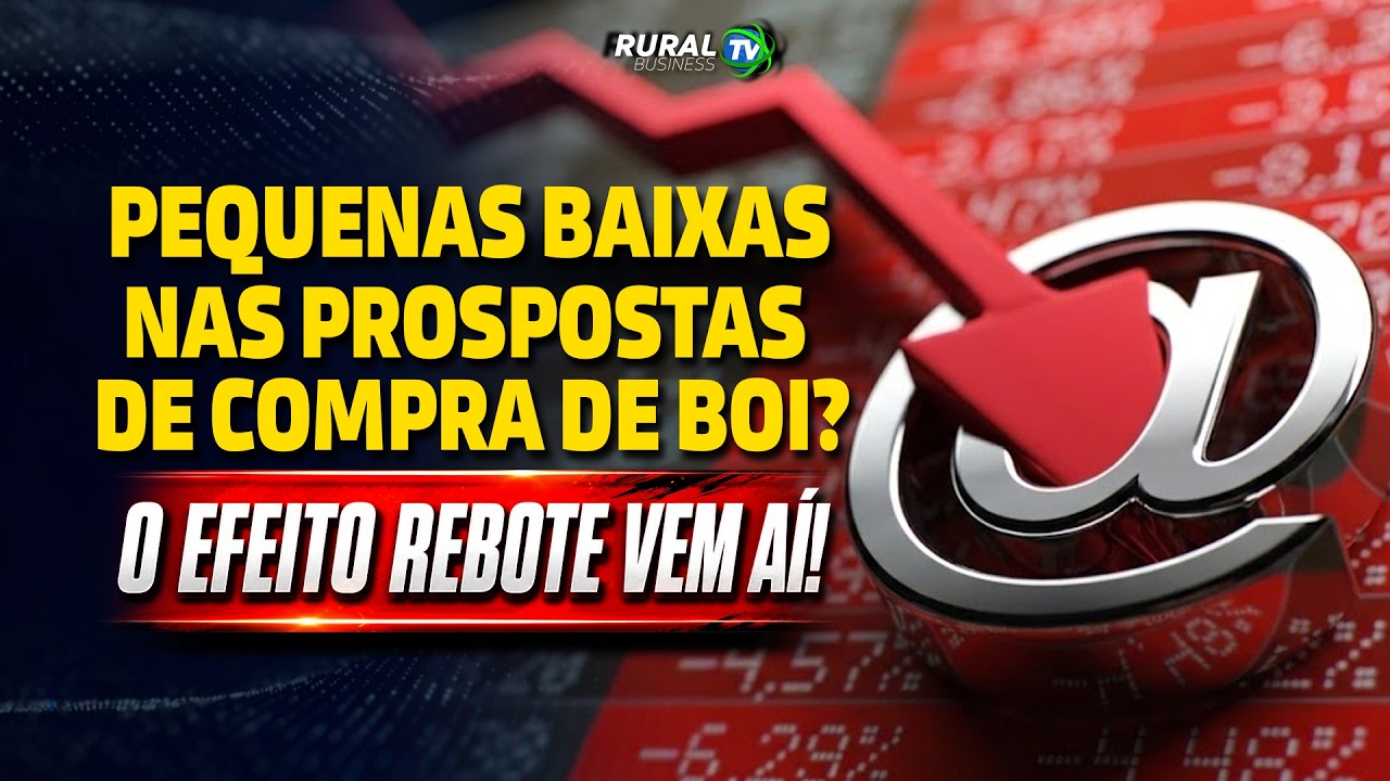 PEQUENA BAIXA NAS PROPOSTAS DE COMPRA DE BOI? O EFEITO REBOTE VEM AI!