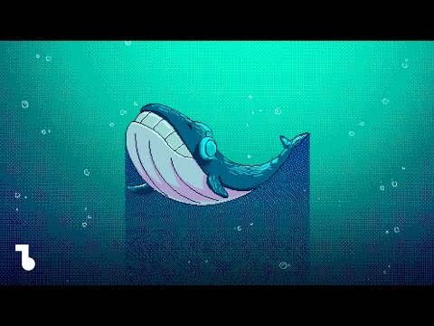 Bitonal Landscape / Luis Quintero - Underwater Life