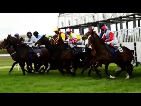 Galopprennbahn Köln-Weidenpesch