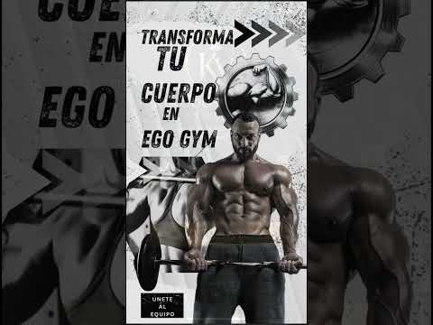 Proyecto visual Kingdom Vizion Studios