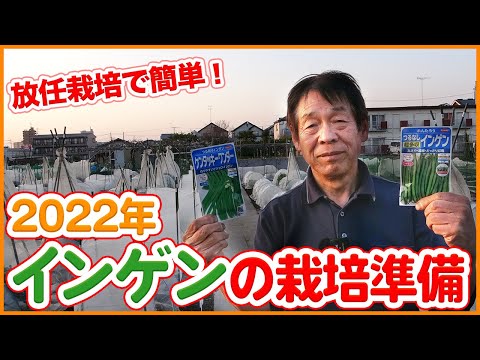 ランナービーン インゲンマメ 庭の垂直支持アーチ