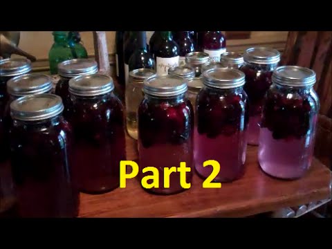 How To Make Easy Homemade Wine~Part 2 (Making Blackberry Wine)