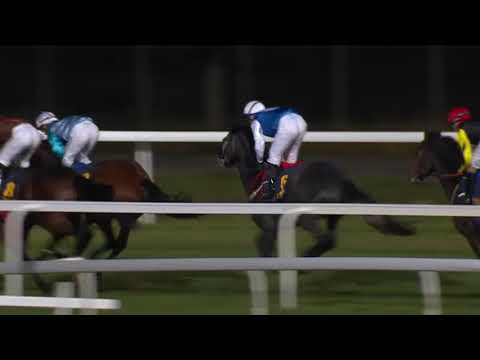 2018.10.18 Svenskt St Leger - Master Bloom