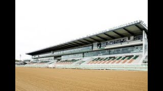 【地方競馬】園田は４～６月に薄暮開催|Top News