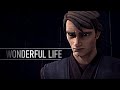 A Wonderful Life
