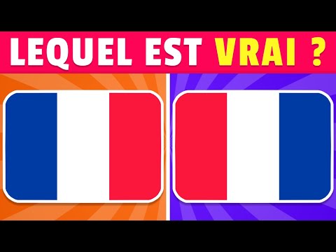 DEVINE le VRAI DRAPEAU 🚩 | Quiz Drapeaux