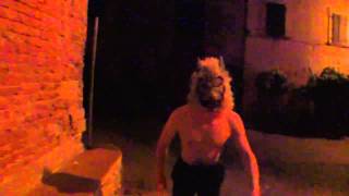 &quot;Swallow&quot; - Crystal Fighters (Unofficial Video)