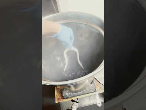 Can you dye the Ion Beta?