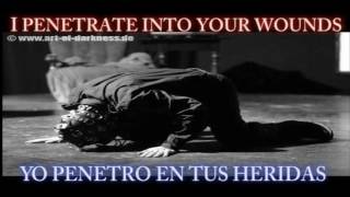 Die Form - Natura Obscura HD Lyrics ( subtitulos Ingles y Español )