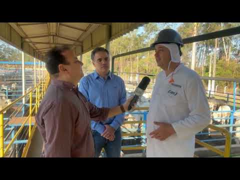 CIRCUITO NELORE REFORÇA VOCAÇÃO DE GOIÁS NA PRODUÇÃO DE PROTEÍNA VERMELHA