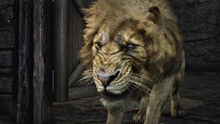 Red Dead Redemption 2 - Lion on Rampage Boss Battle (RDR2) PS4 Pro