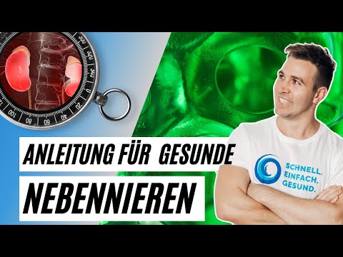 NEBENNIEREN stärken ▶️ eine Anleitung + Test [Einblick in den Mitochondrien Masterkurs]